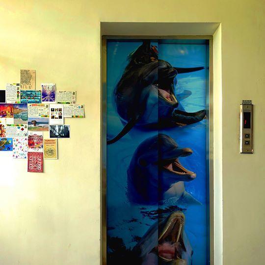 Dolphin Castle Bed & Breakfast Donggang Exterior foto